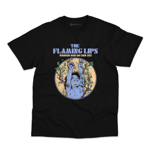 Remera Flaming Lips #5