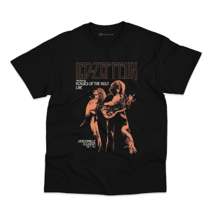 Remera Led Zeppelin #7