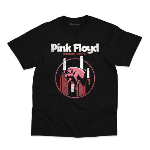 Remera Pink Floyd #12
