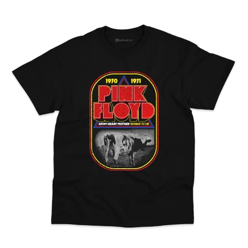 Remera Pink Floyd #16