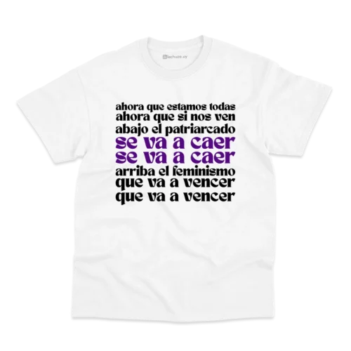 Remera 8M - Ahora que estamos todas, ahora que si nos ven - Imagen 3