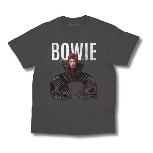 Remera David Bowie - Ziggy Stardust - Imagen 3
